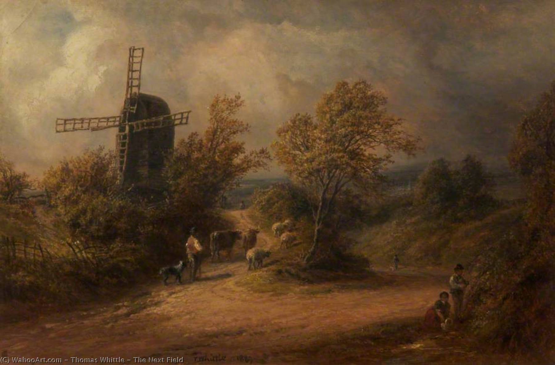 The Next Field — Thomas Whittle