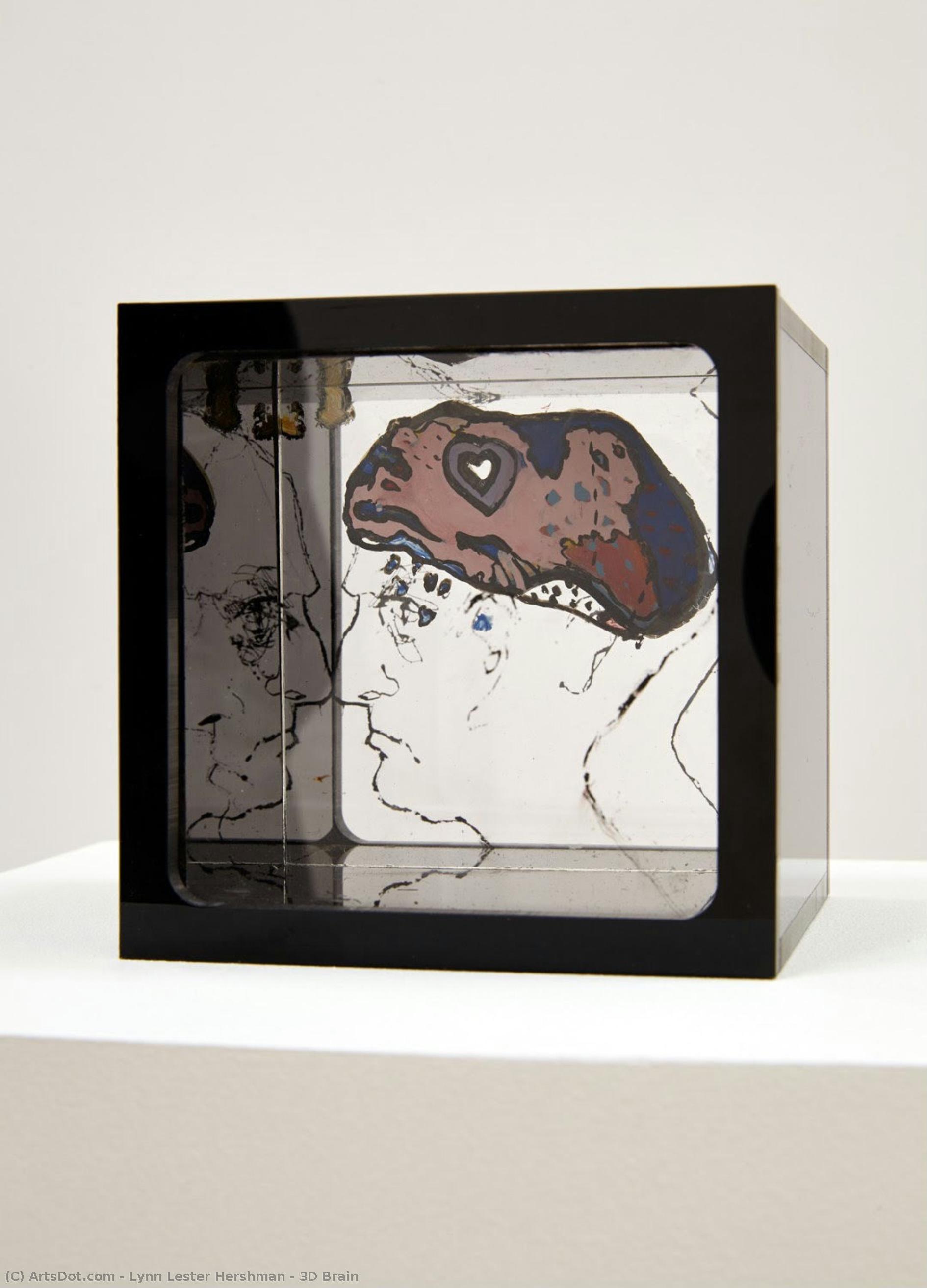 3d Brain — Lynn Lester Hershman