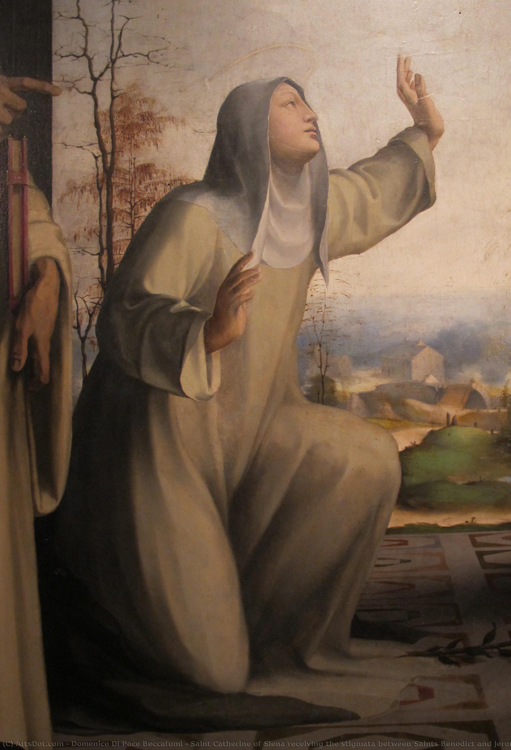 Saint Catherine Of Siena Receiving The Stigmata Between Saints Benedict And Jerome (detail) — Domenico Di Pace Beccafumi
