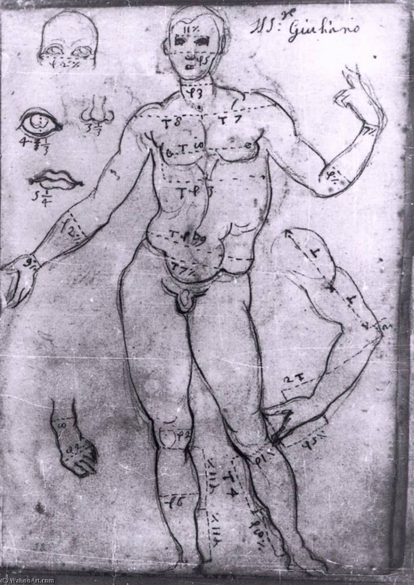 Illustration From Disegni E Misure E Regole — Francesco Susini