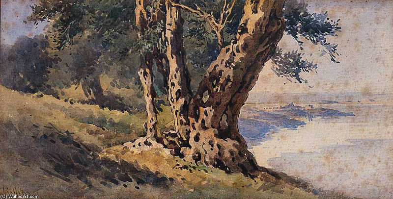 Landscape — Angelos Giallina