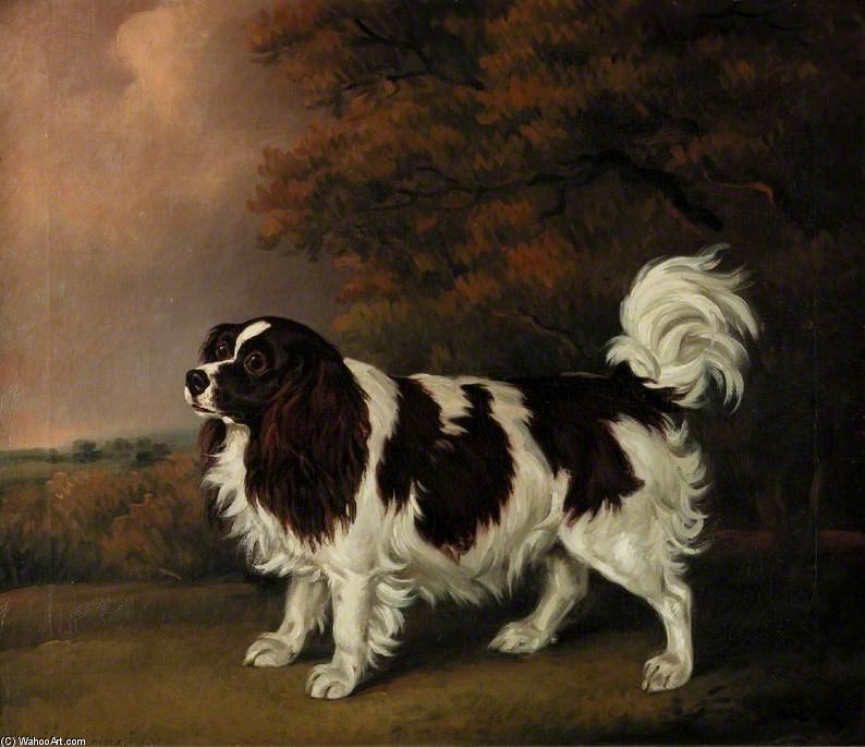 Study Of A King Charles Spaniel — Henry Bernard Chalon