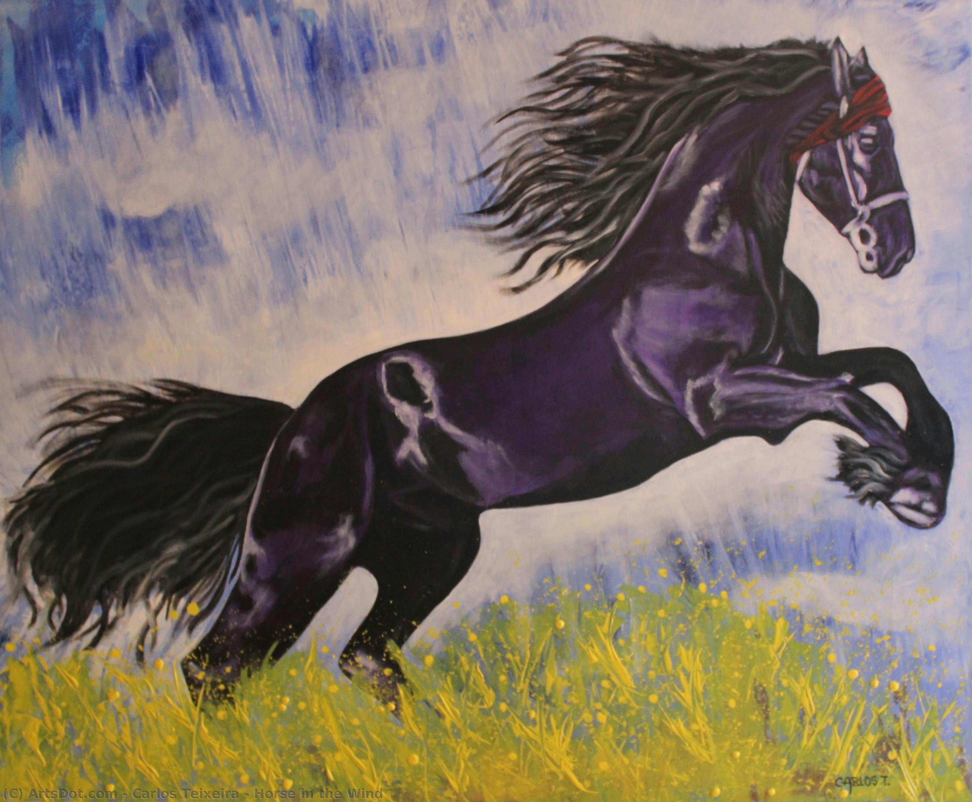 Horse In The Wind — Carlos Teixeira