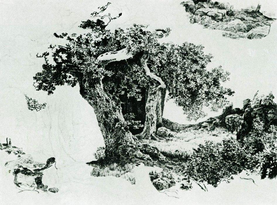 Group Of Deciduous Trees And Stones — Ivan Ivanovich Shishkin