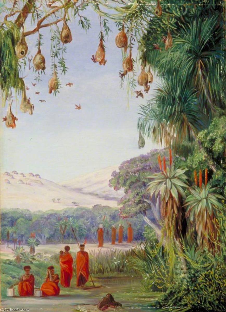 Vegetation Des Addo-busches Mit Kaffern Und Ihren Behausungen — Marianne North
