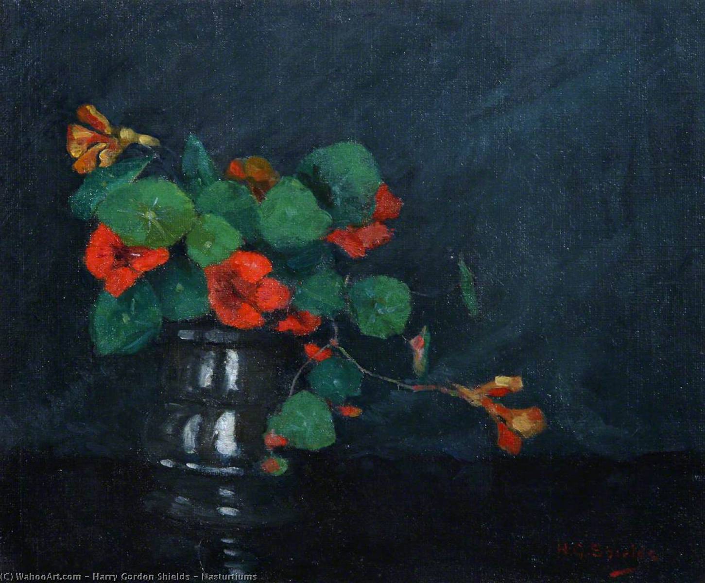 Nasturtiums — Harry Gordon Shields