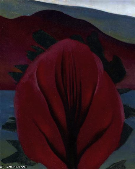 Cedar And Red Maple, Lake George — Georgia O'keeffe