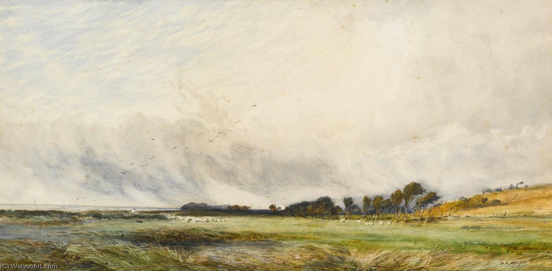 Sheep Grazing By The Coast — Henry Andrew Harper