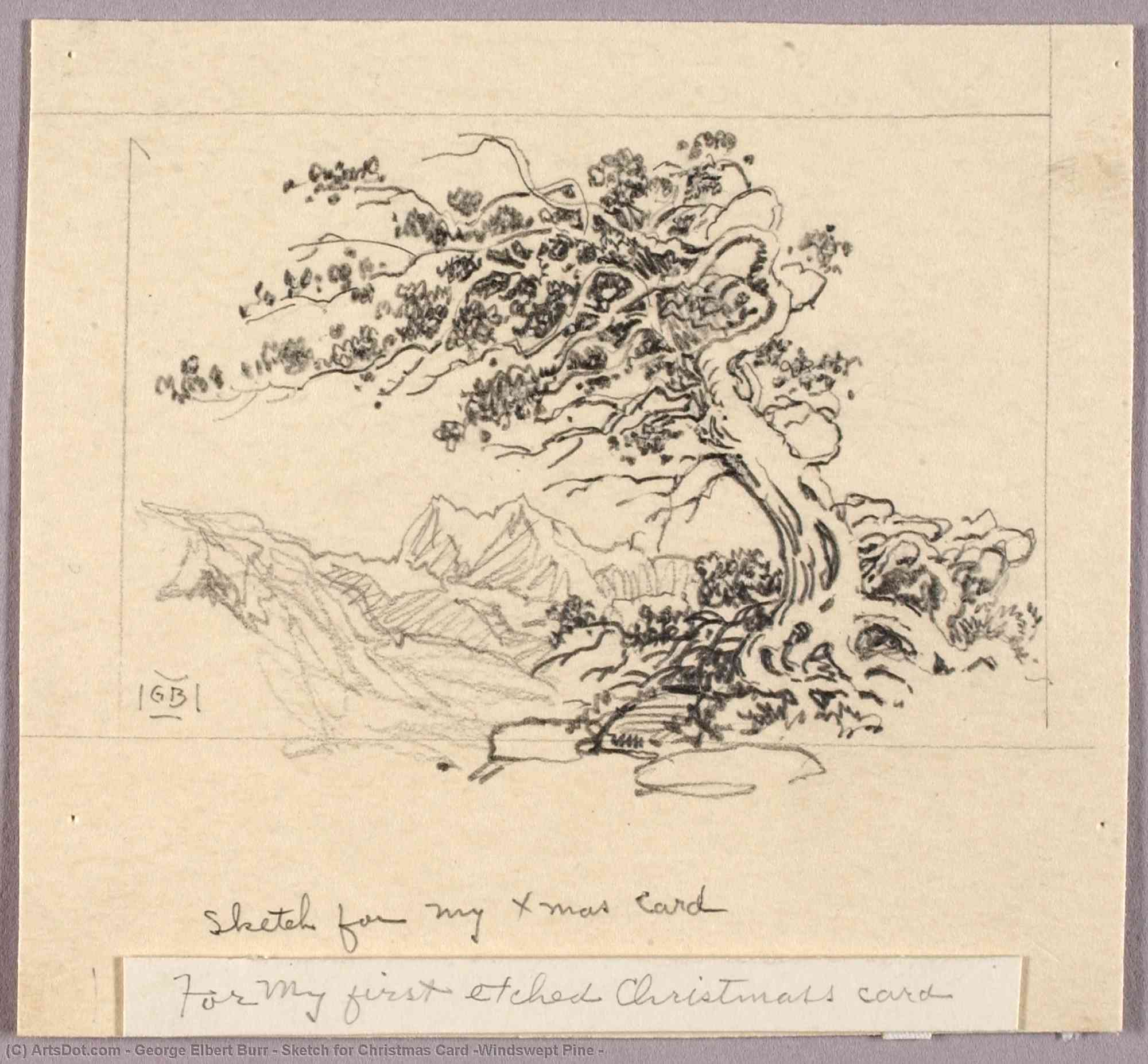 Sketch For Christmas Card (windswept Pine ) — George Elbert Burr