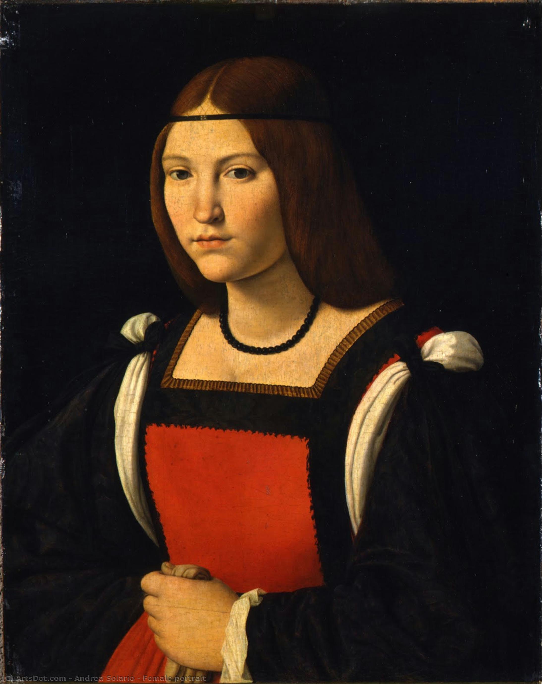 Female Portrait — Andrea Solario