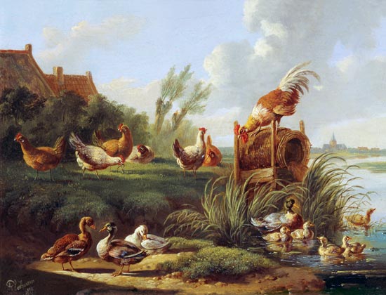 Ducks And Fowl On A Riverbank — Albertus Verhoesen