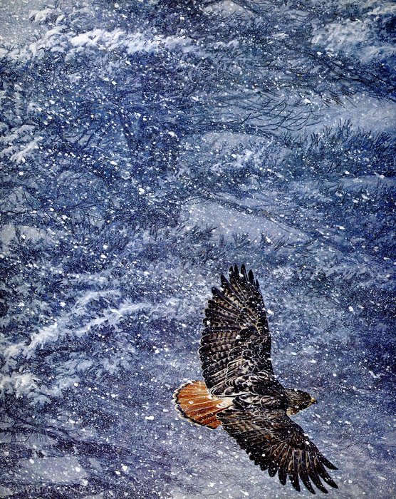 Untitled (949) — Robert Bateman