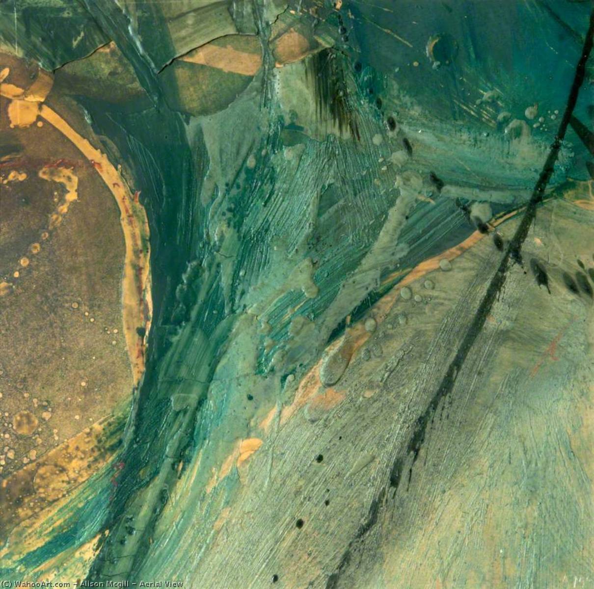 Aerial View — Alison Mcgill