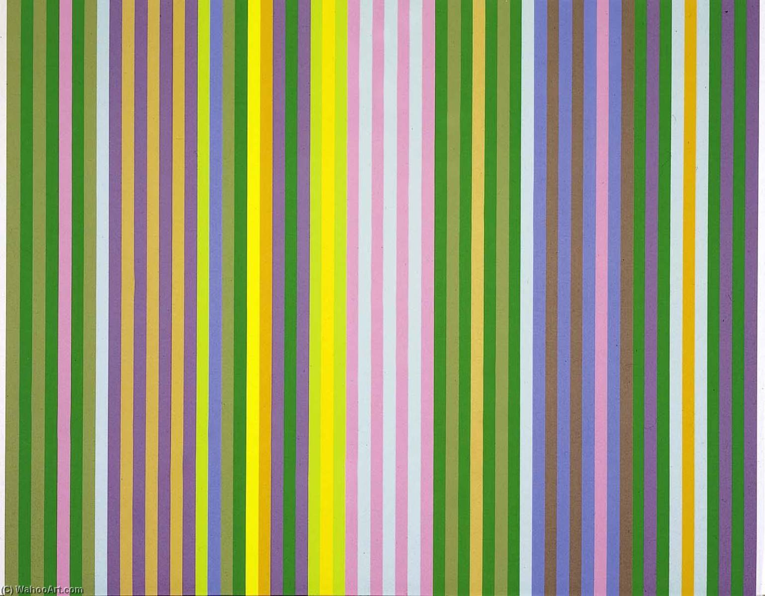Zebra, From The Portfolio Series Ii — Džin Devis