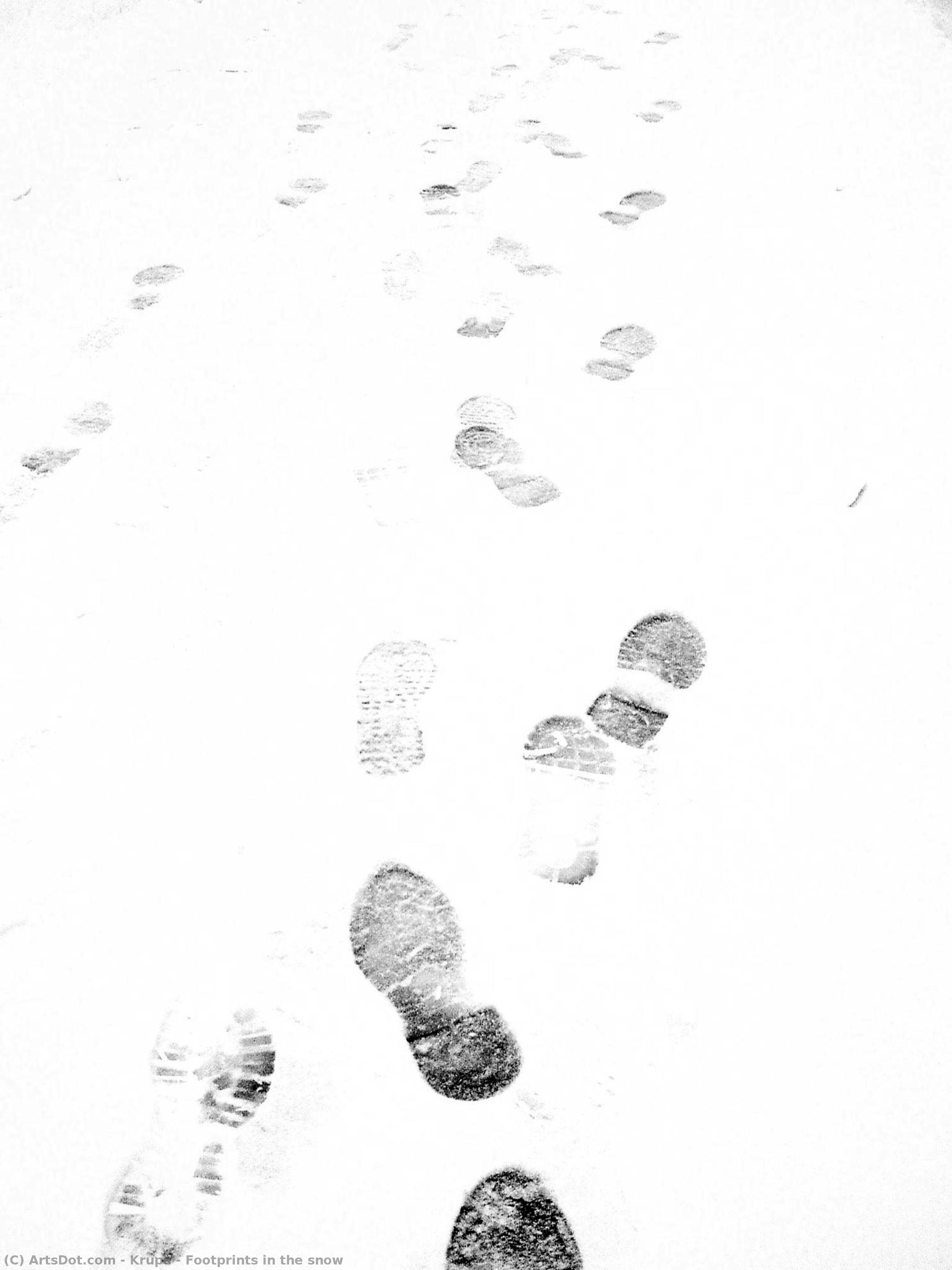 Footprints In The Snow — Alfred Freddy Krupa
