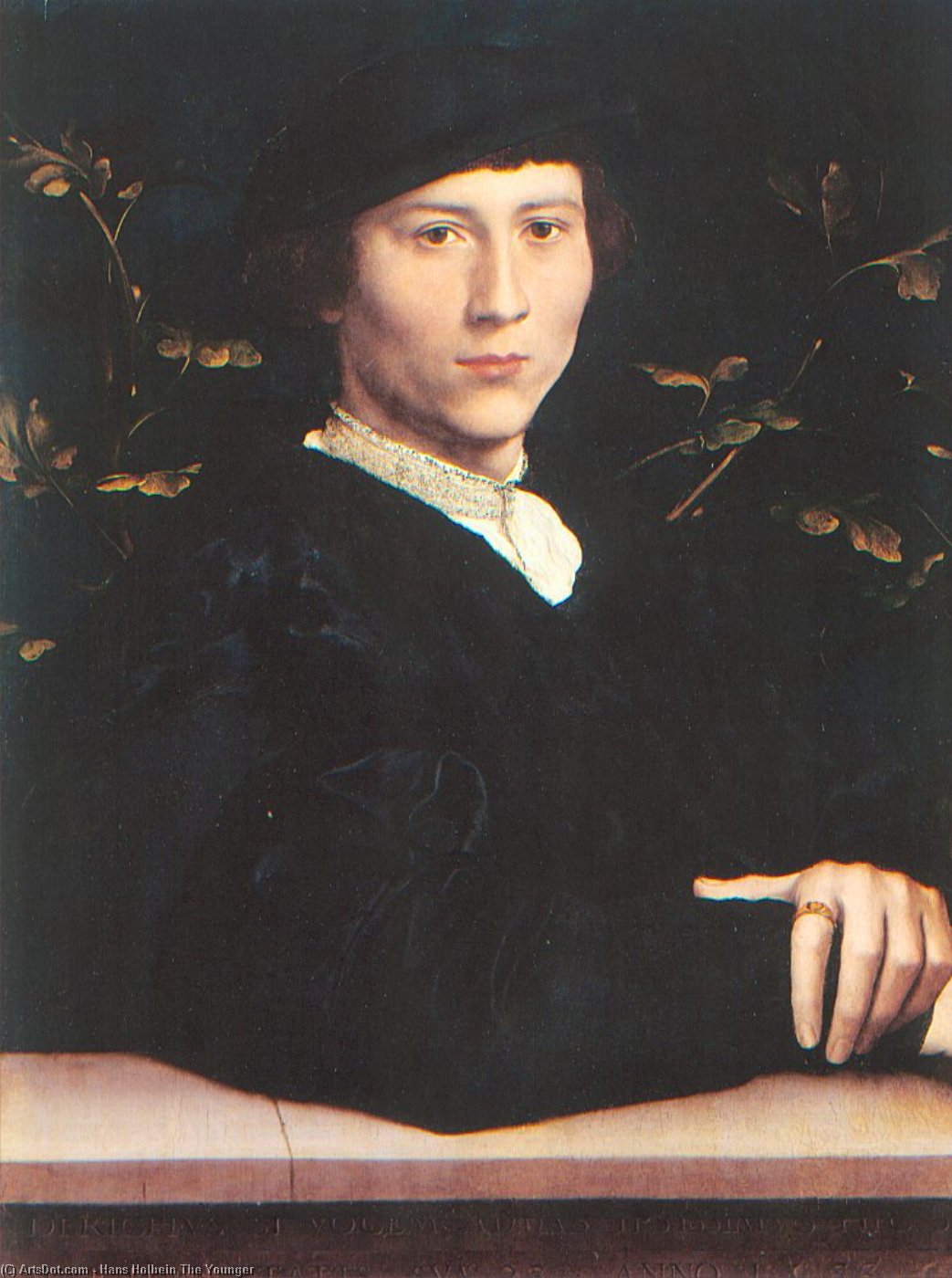 Untitled (725) — Hans Holbein The Younger