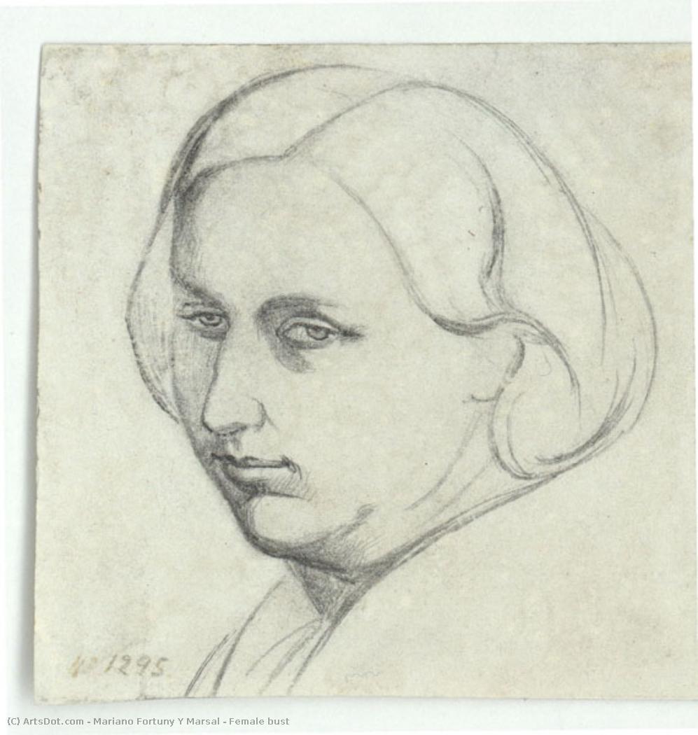 Female Bust — Mariano Fortuny Y Marsal