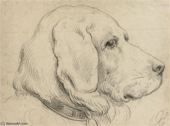 Study Of A Dog — Otto Eerelman