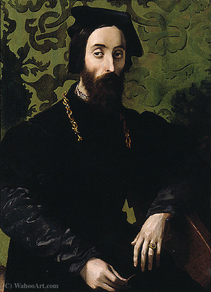 Portrait Of A Musician — Girolamo Mazzola Bedoli
