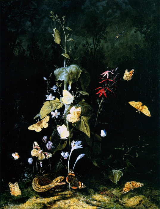 Wild Butterflies And Plants In A Forest Landscape — Otto Marseus Van Schrieck