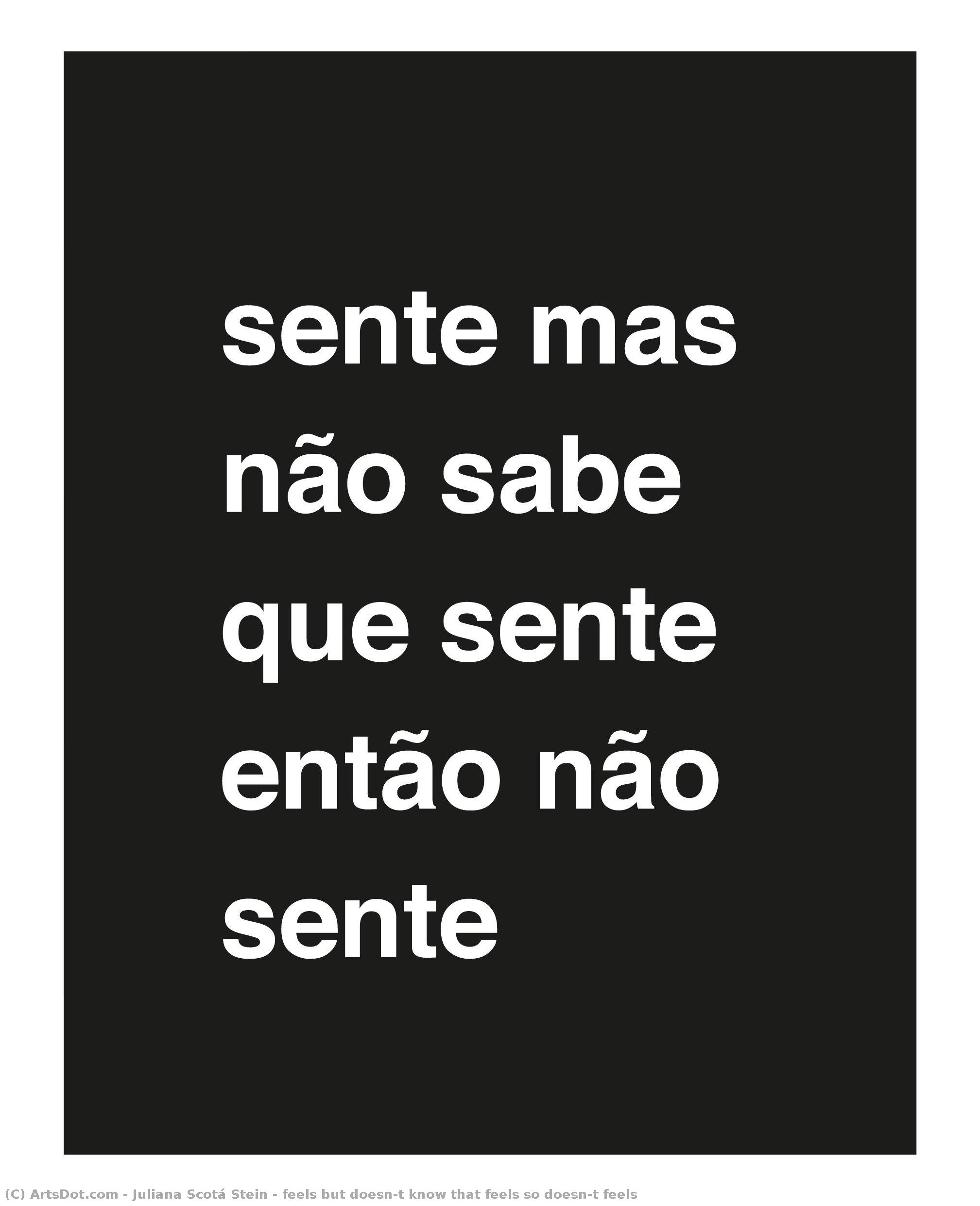 Feels But Doesn’t Know That Feels So Doesn’t Feels — Juliana Scotá Stein