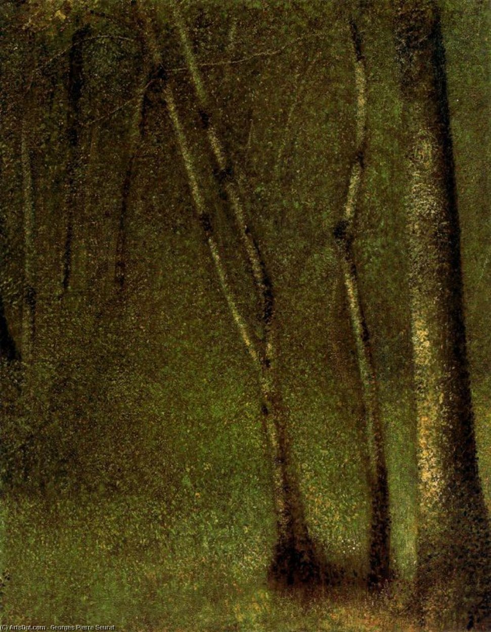 Forest At Pontaubert — Georges Pierre Seurat