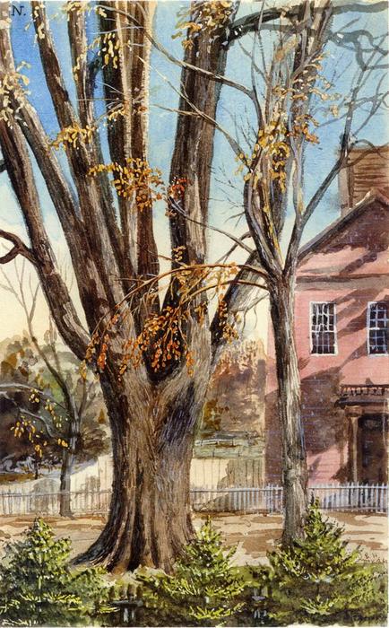 Elm, East Hartford, Connecticut — Charles De Wolf Brownell
