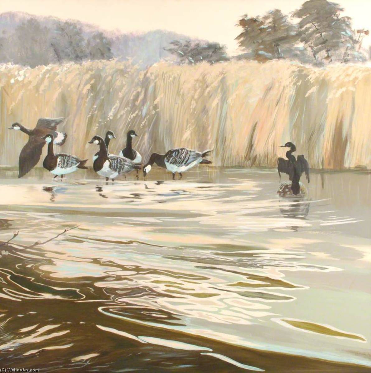 Geese And Cormorant (triptych, Right) — Anne Toms