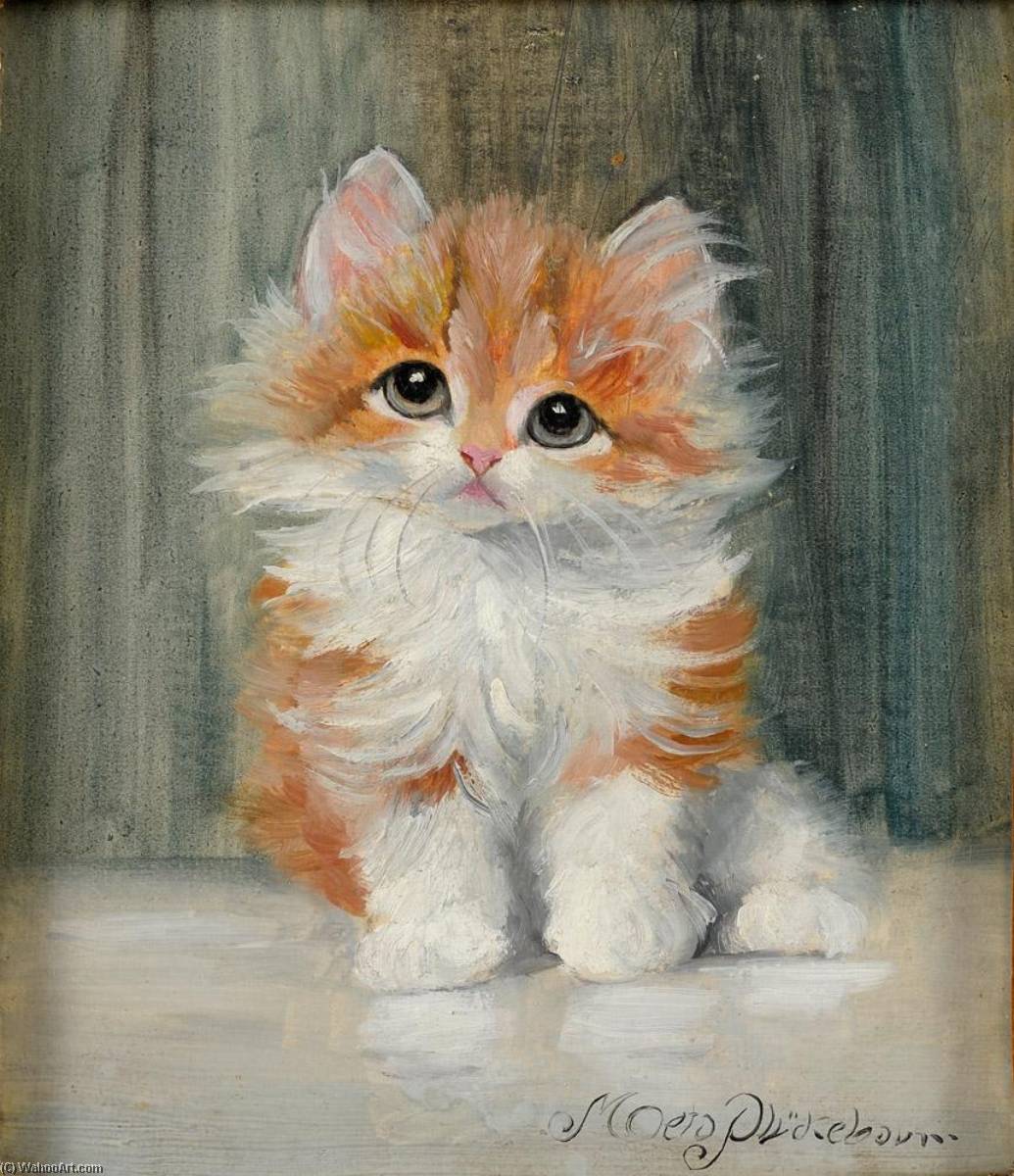 Kitten — Meta Plückebaum