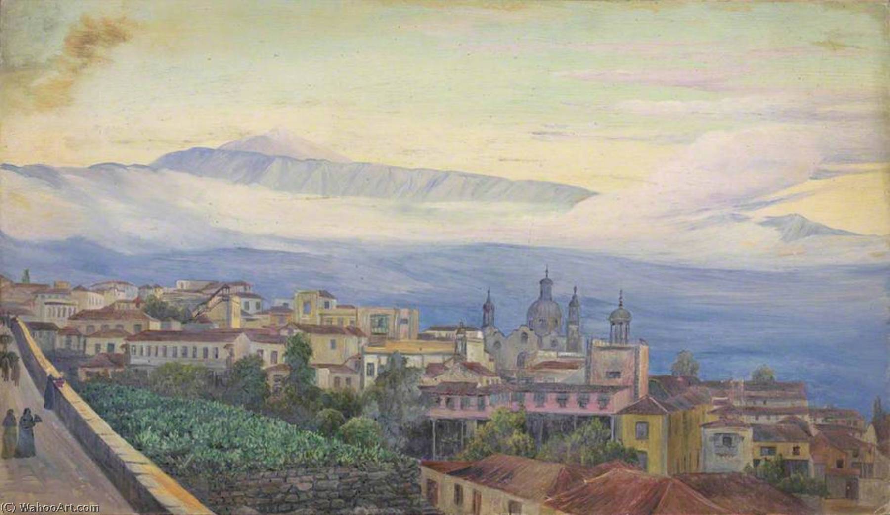 Teneriffe, Canary Islands — Marianne North