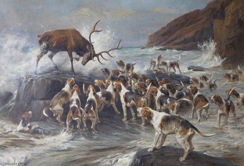 Stag At Bay On A Rocky Shore — Thomas Blinks