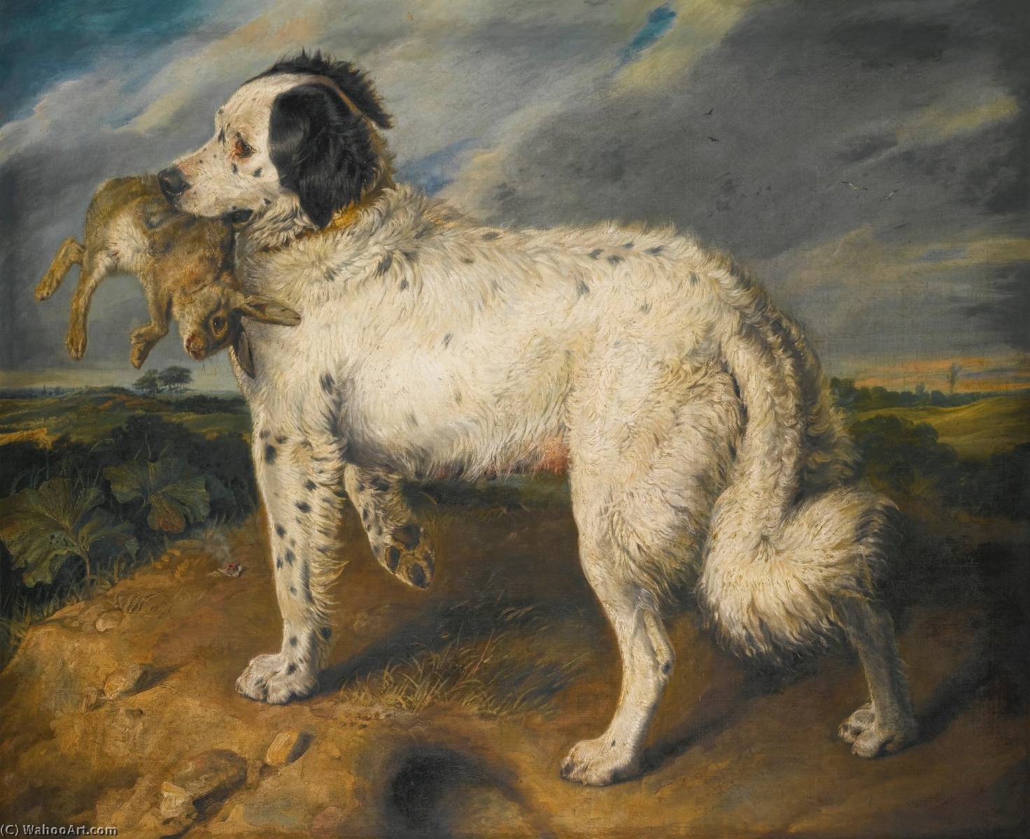 The Champion Venus , A Landseer Newfoundland With A Rabbit — Sir Edwin Henry Landseer