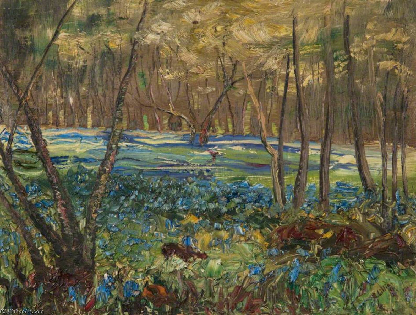 Bluebells, Craigton Wood, Milngavie — Robert Lillie