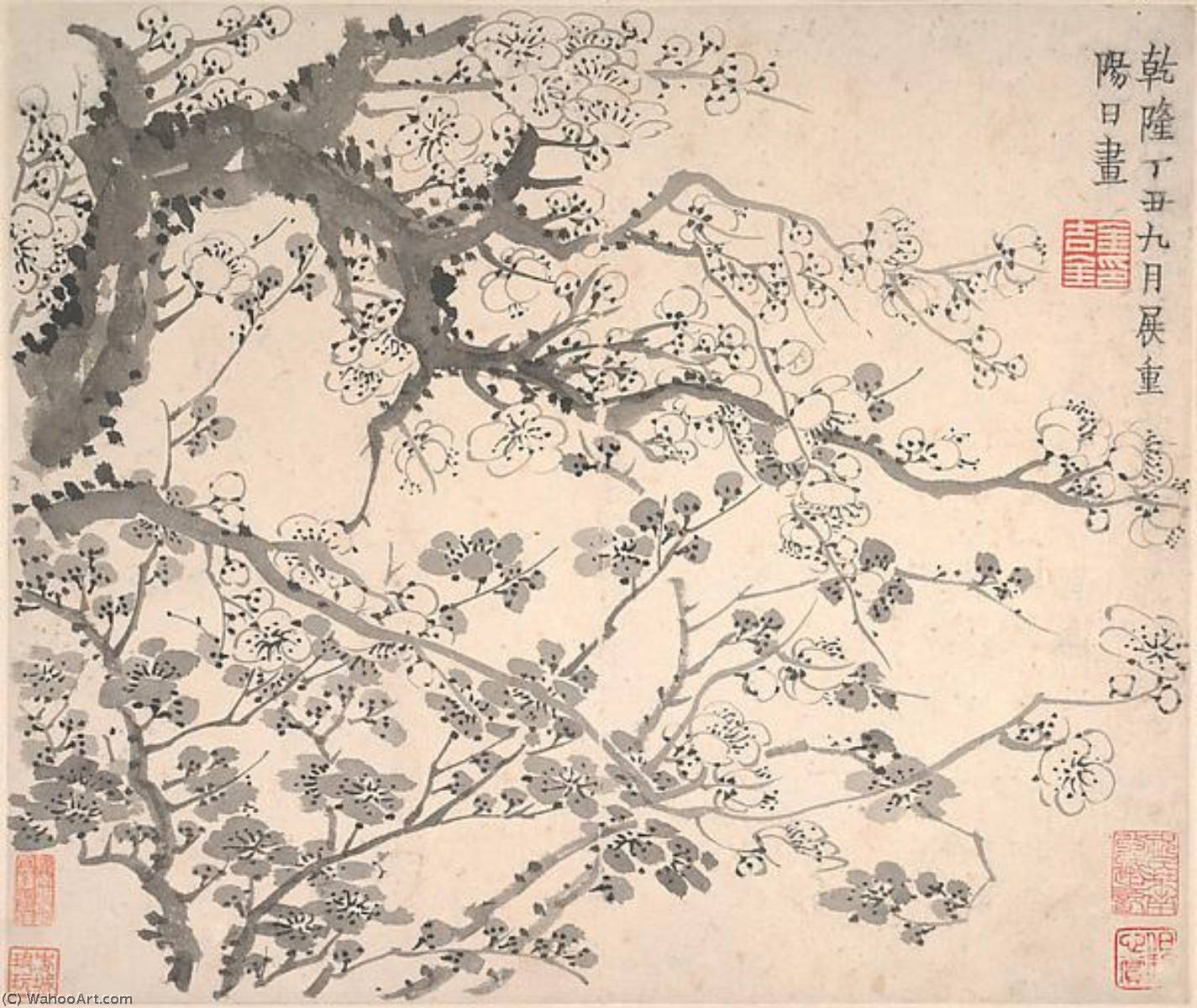 清 金農 梅花圖 冊 Plum Blossoms — Jin Nong