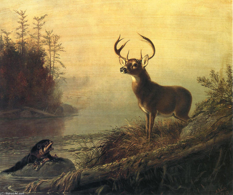 The Surprise — Arthur Fitzwilliam Tait