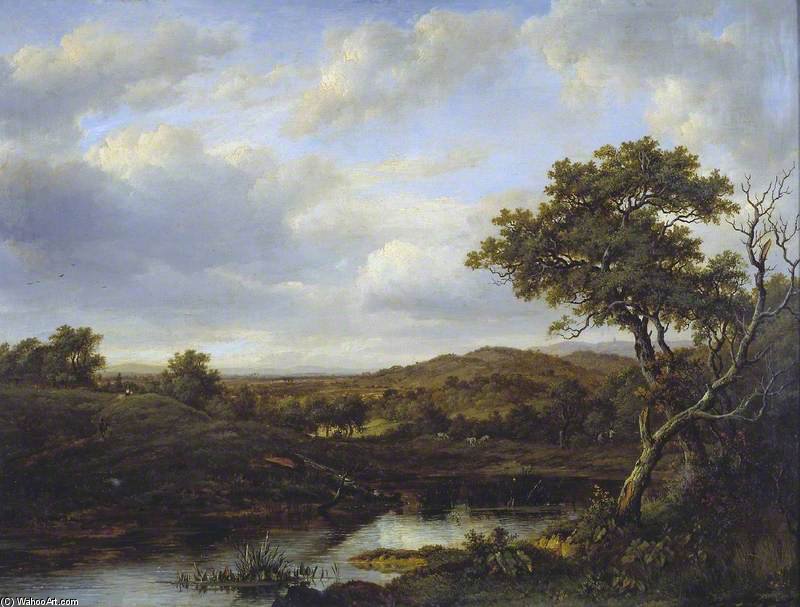 A Pond — Patrik Nesmit