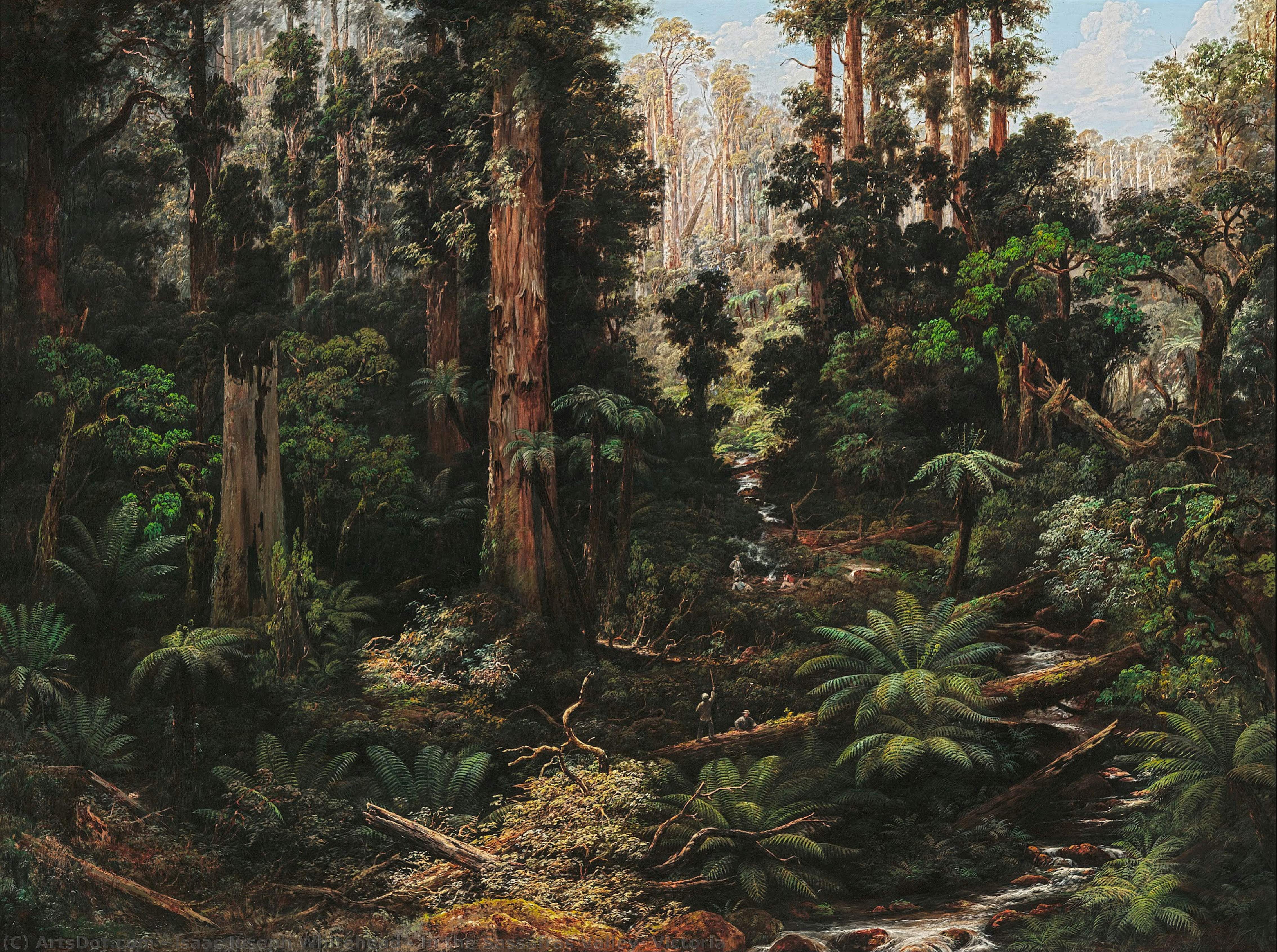 In The Sassafras Valley, Victoria — Isaac Joseph Whitehead