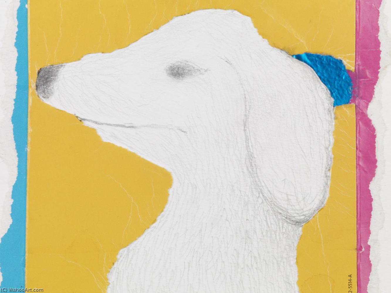 Craigies Dog Waynie Craigieaitchison — Colin Self