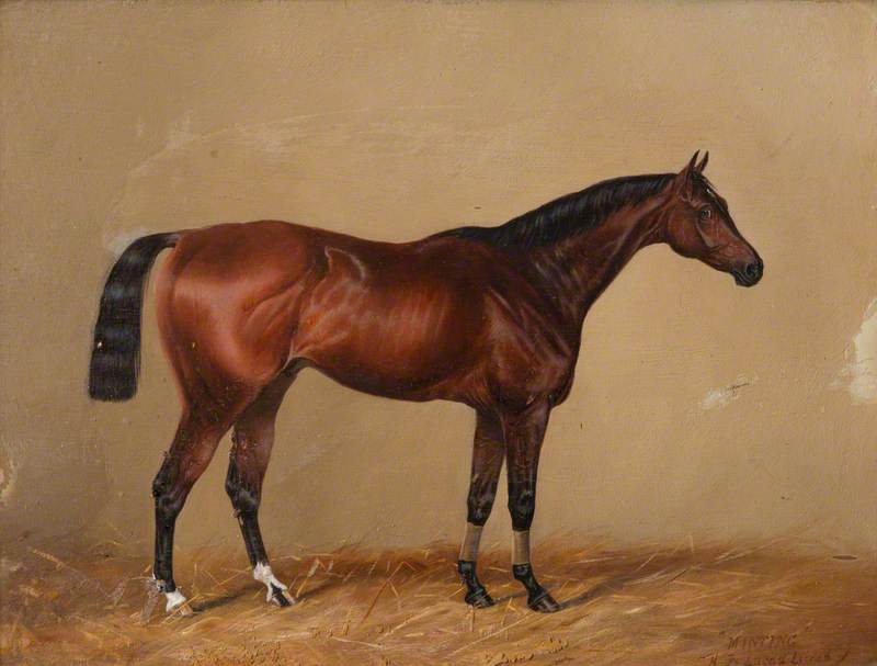 'minting', A Bay Chaser — Henry Frederick Lucas Lucas