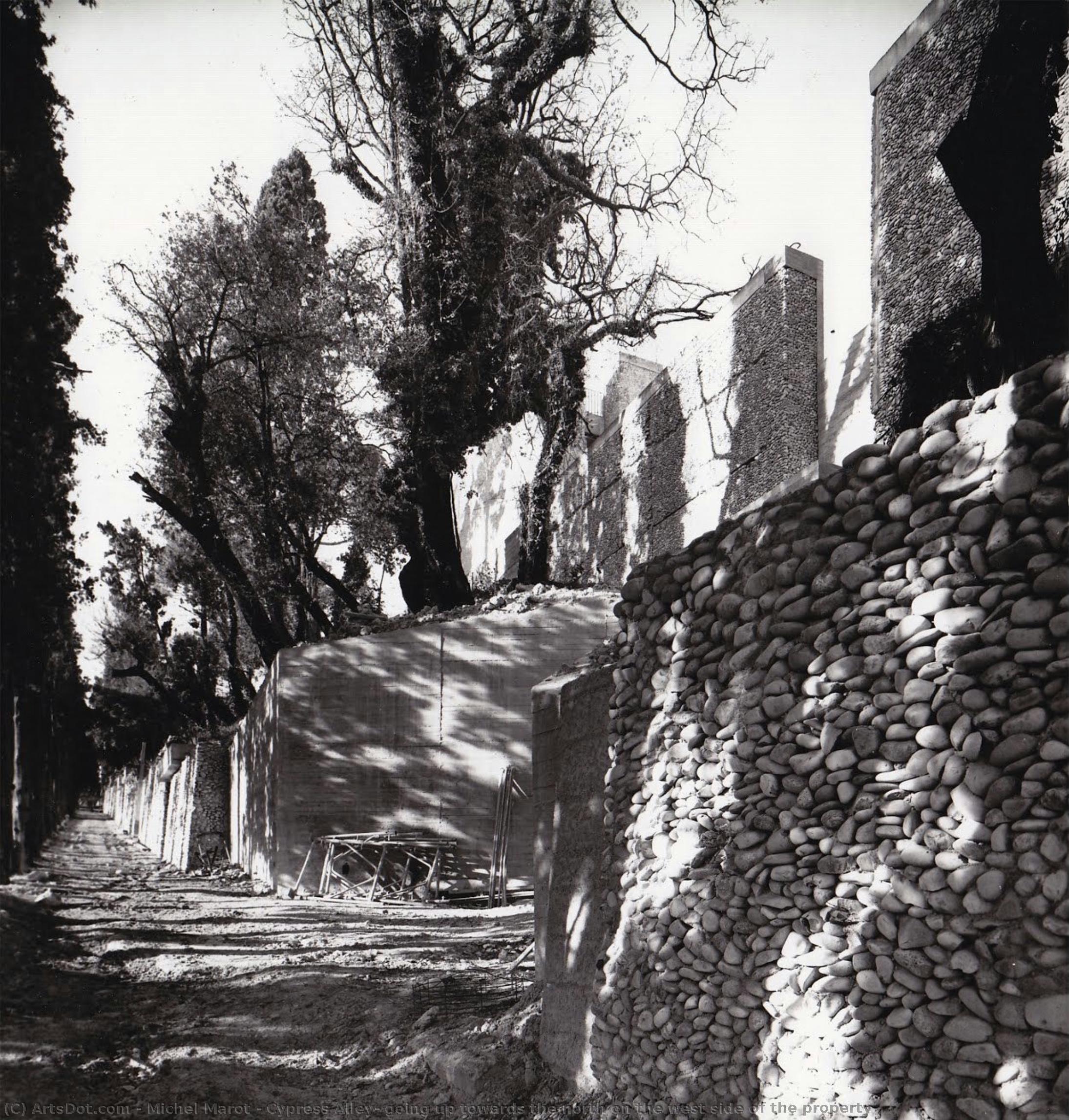 Cypress Alley, Going Up Towards The North On The West Side Of The Property — ミシェル・マロ