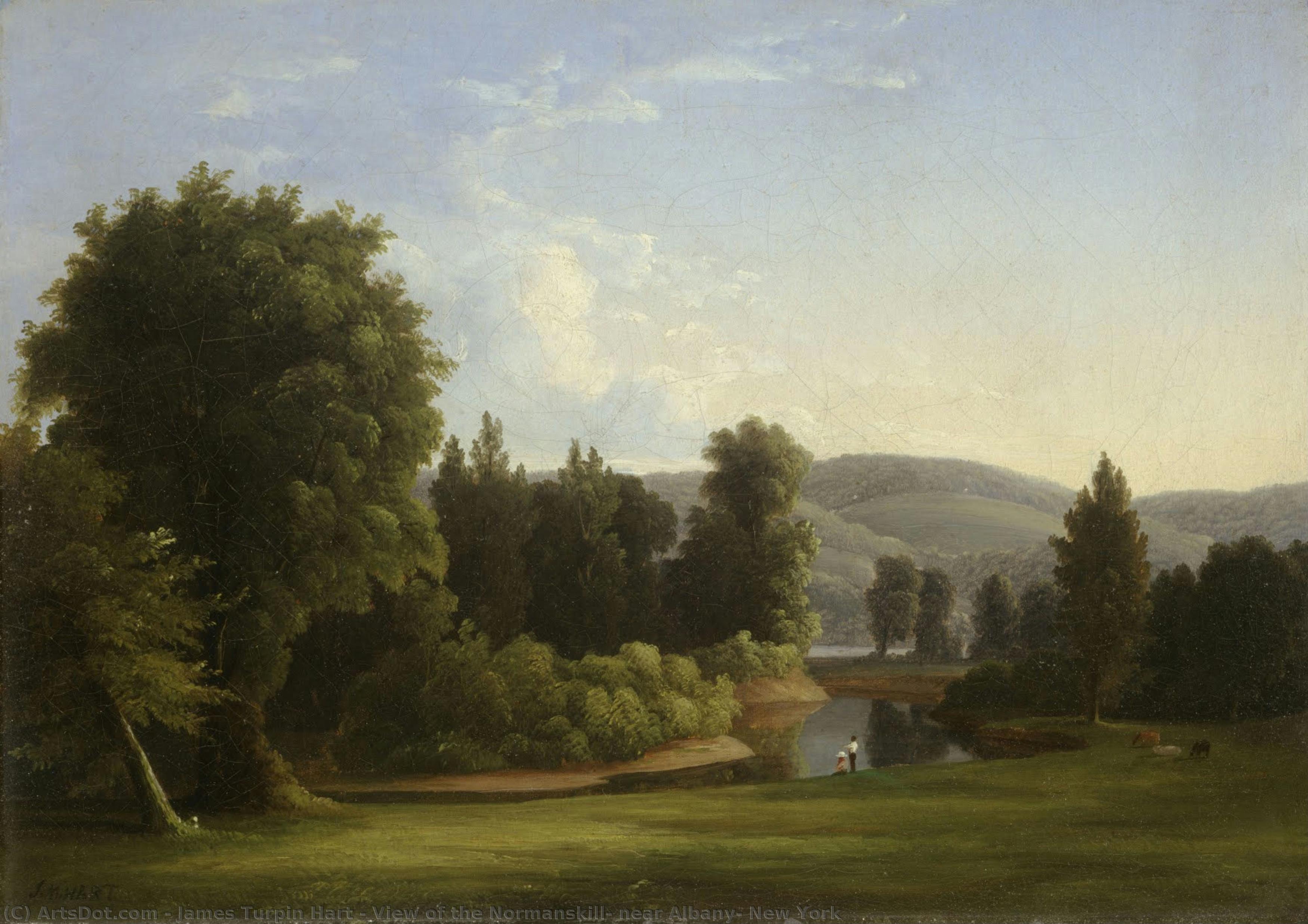 View Of The Normanskill, Near Albany, New York — James Turpin Hart