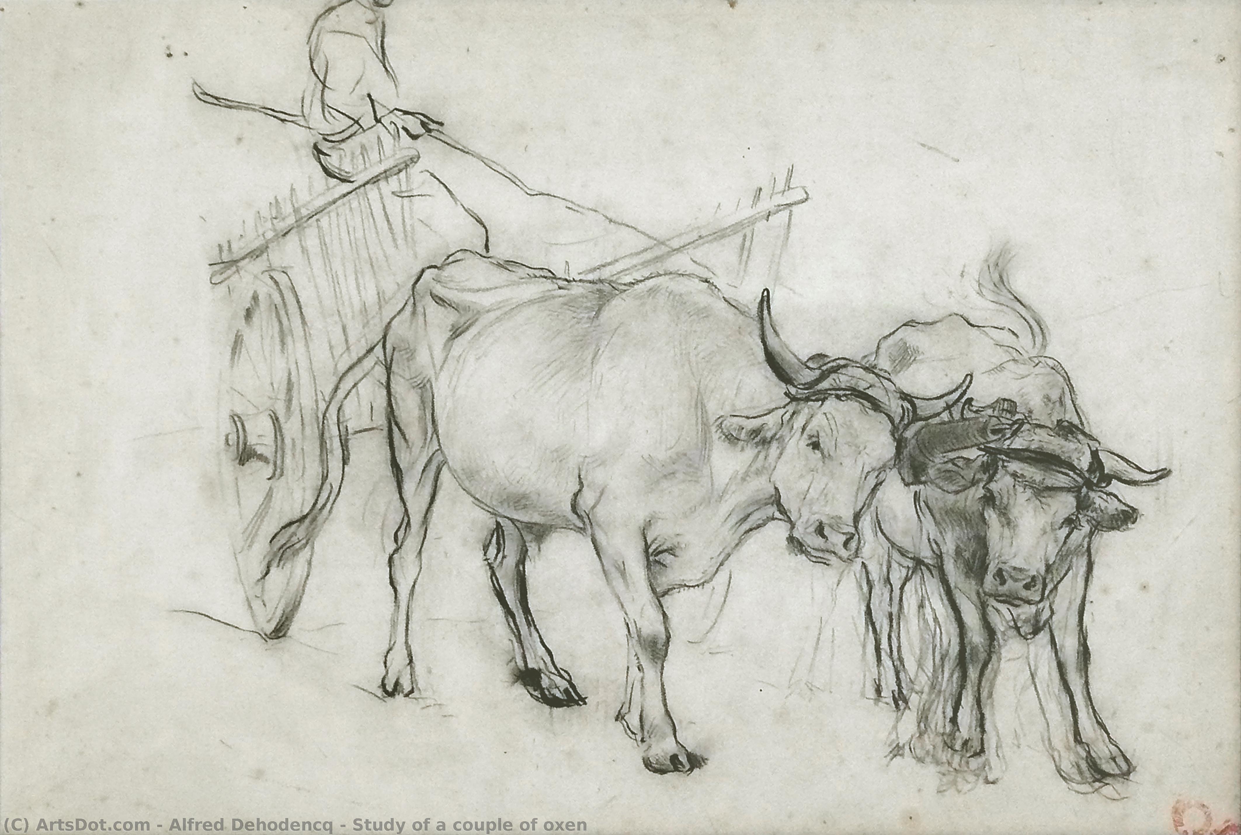 Study Of A Couple Of Oxen — Alfred Dehodencq