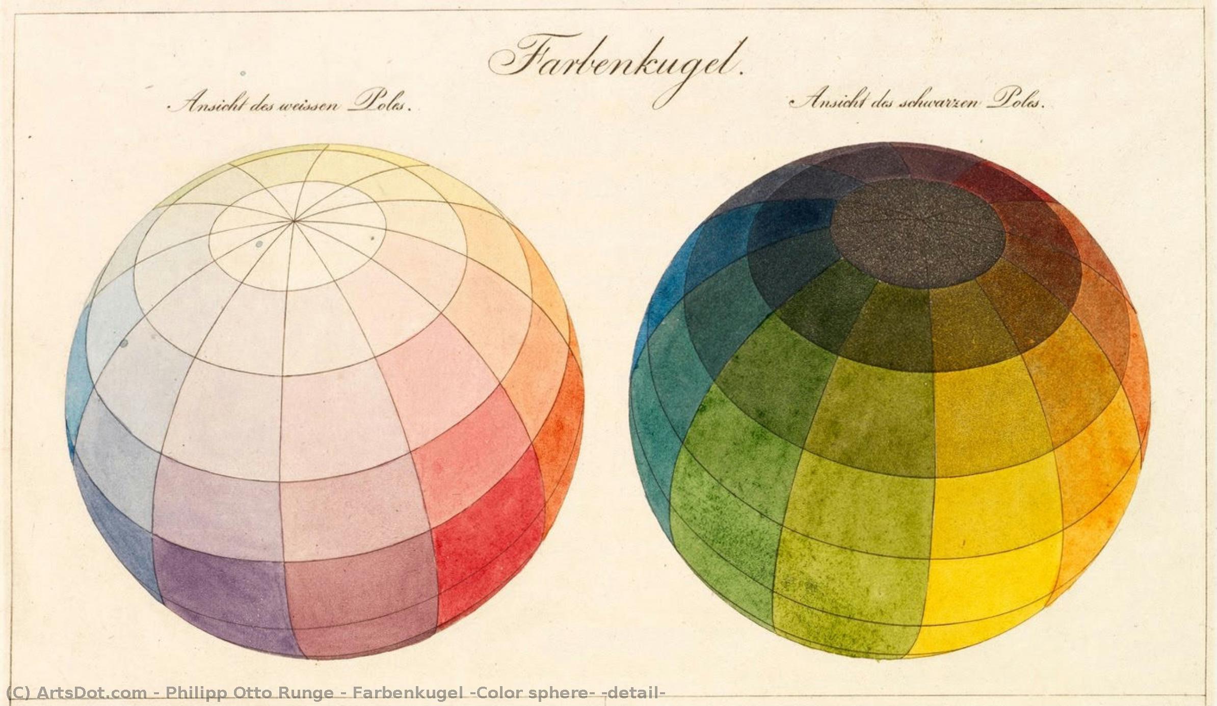 Farbenkugel (color Sphere) (detail) — フィリップ・オットー・ルンゲ