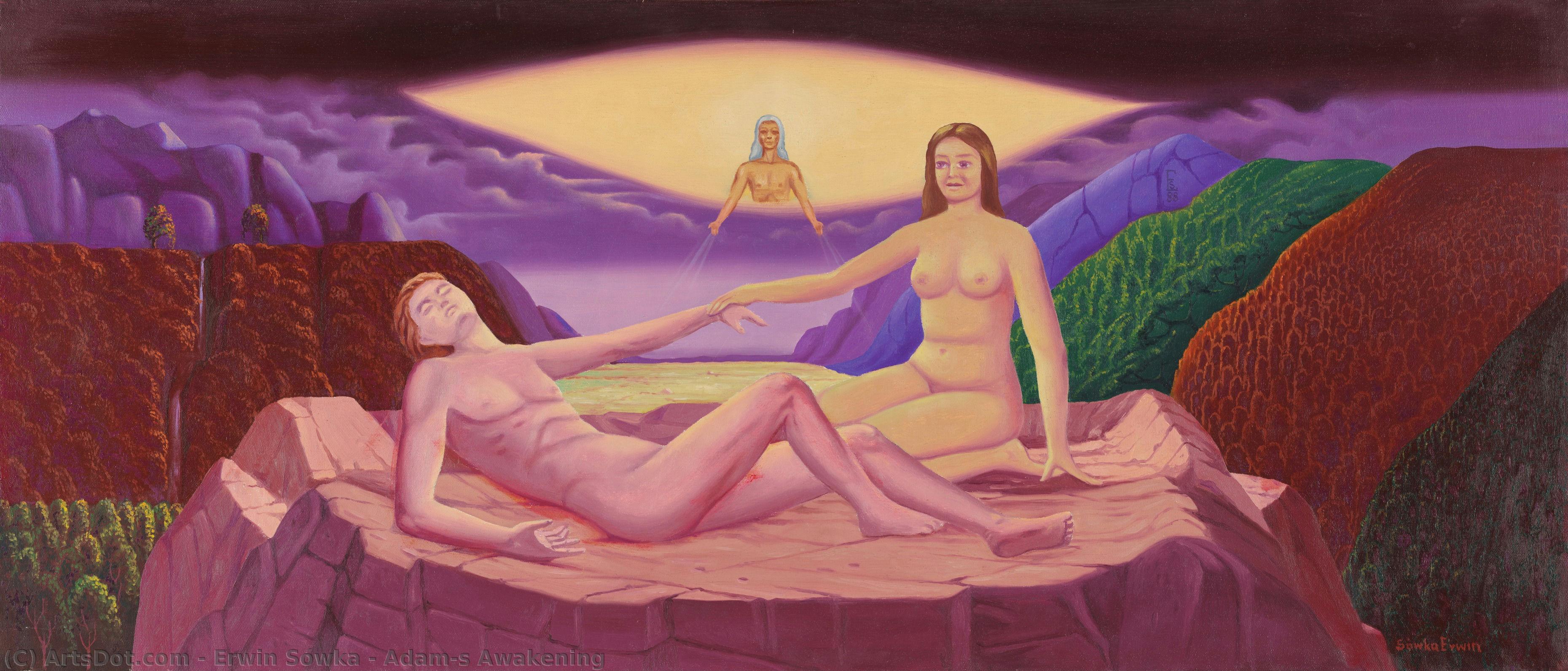 Adam’s Awakening — Erwin Sówka