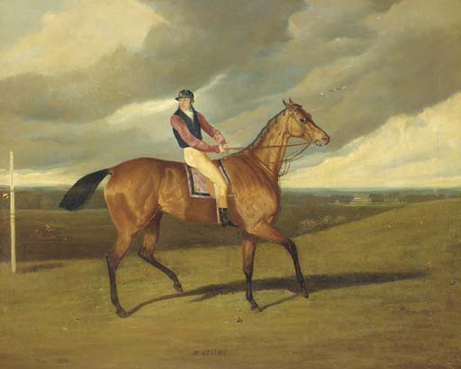 Matilda With Jockey Up — David Of York Dalby