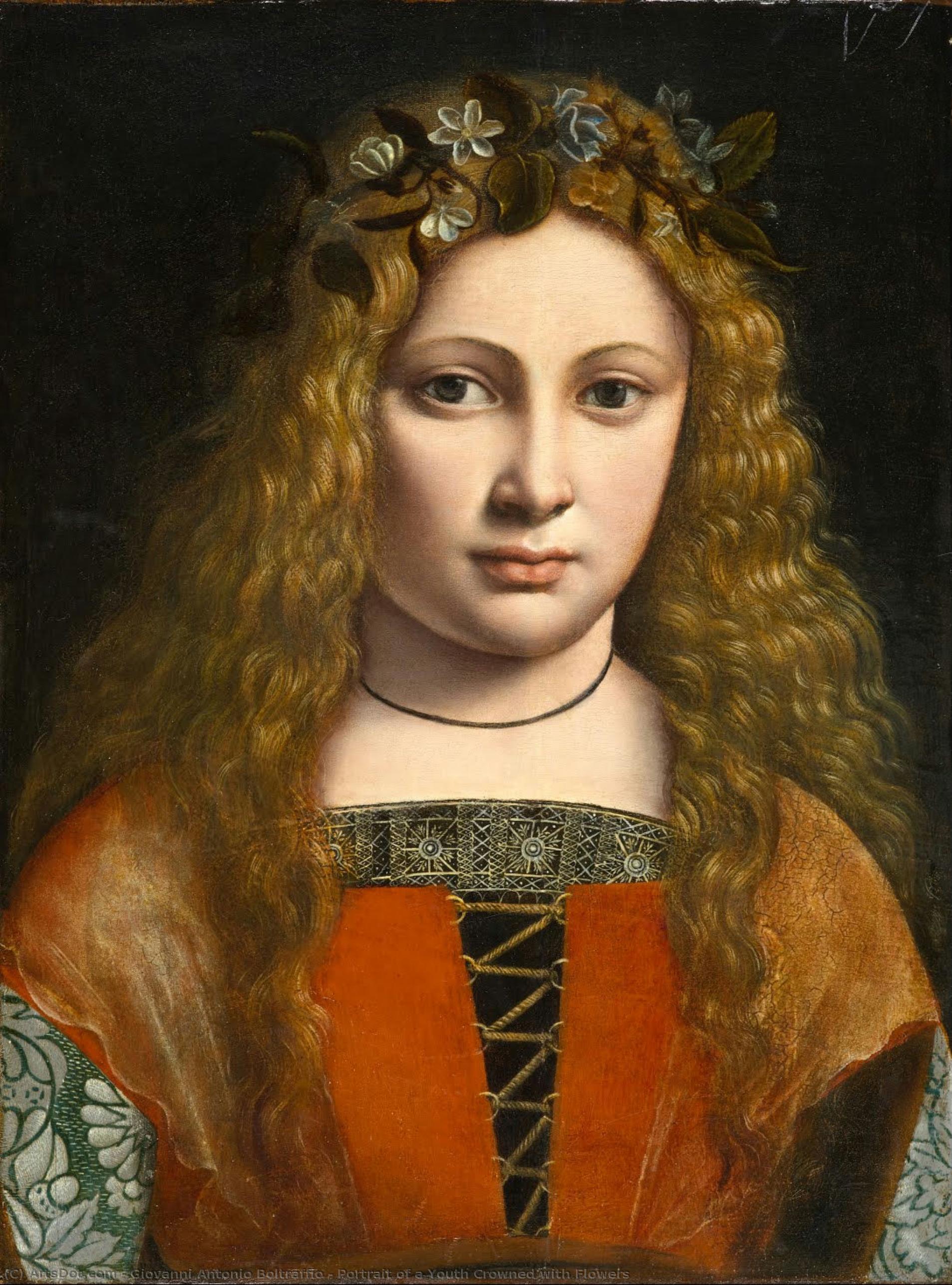 Portrait Of A Youth Crowned With Flowers — Giovanni Antonio Boltraffio