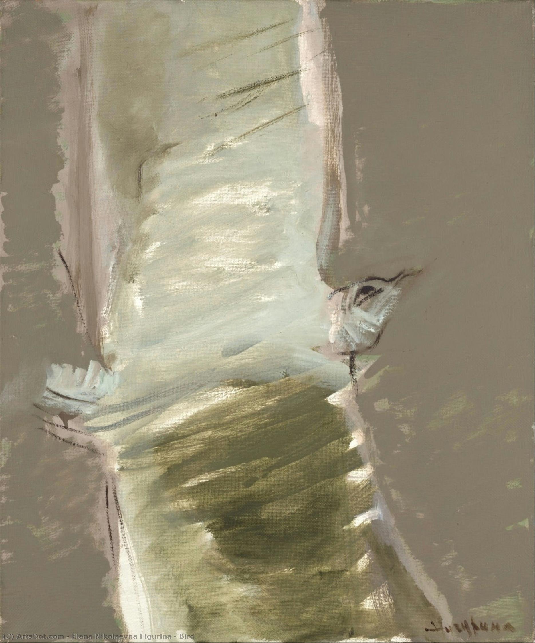 Bird — Elena Figurina