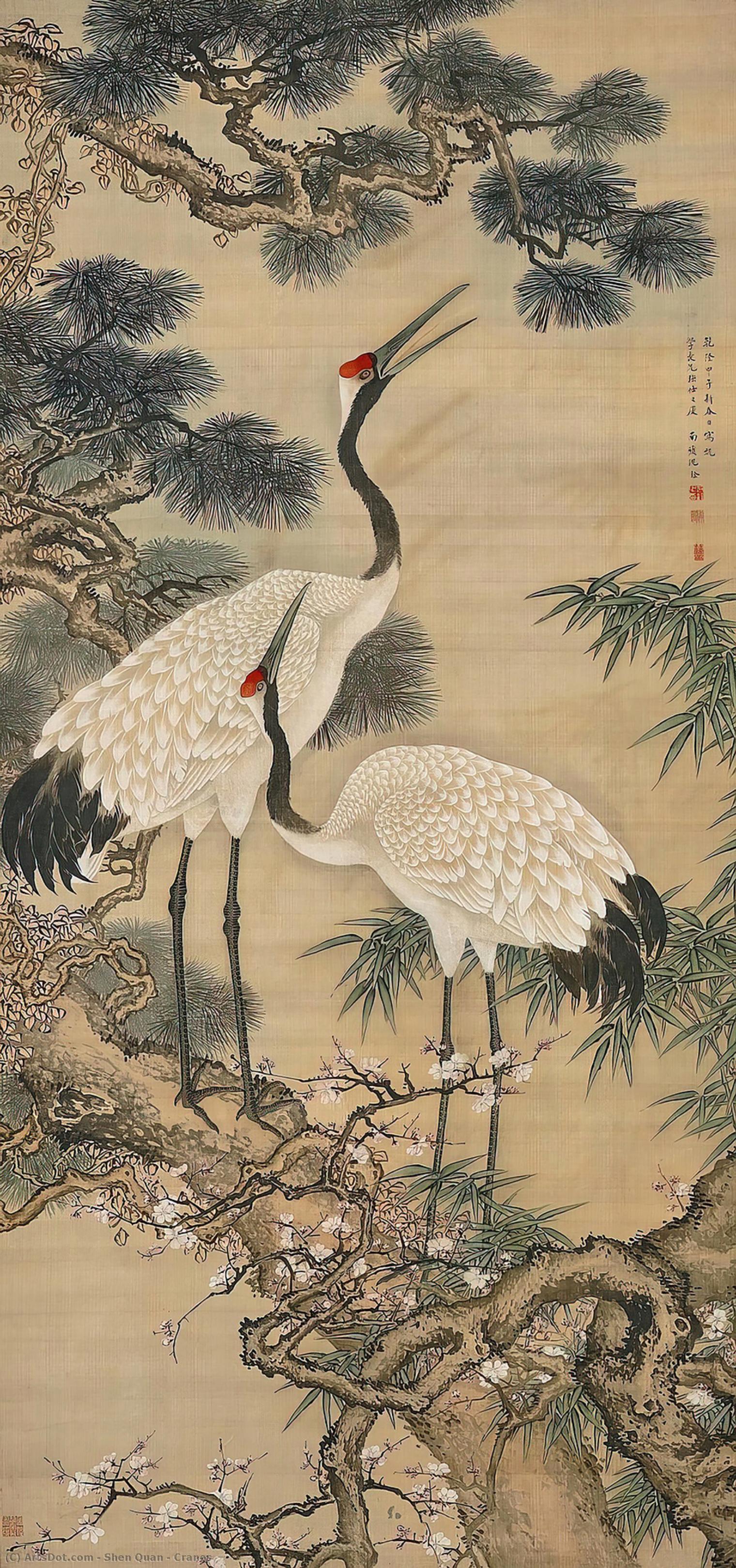 Cranes — Shen Quan