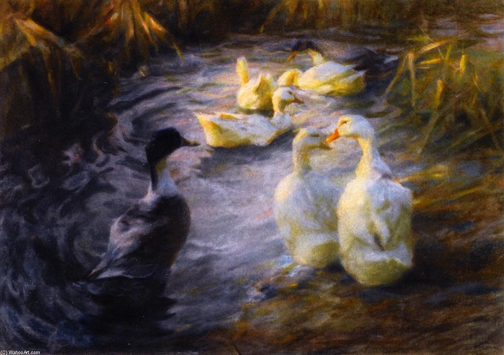 Ducks Among The Reeds In A Pond — Alexander Max Koeste