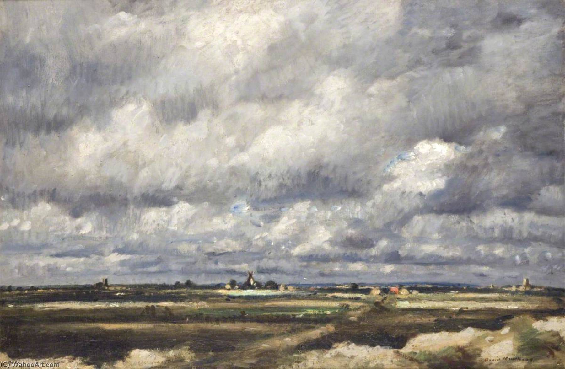 Storm Over Wide Country — David Muirhead